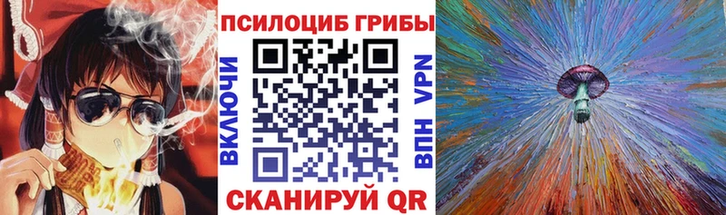 Купить  Константиновск  Галлюциногенные грибы GOLDEN TEACHER 